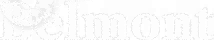 logo main